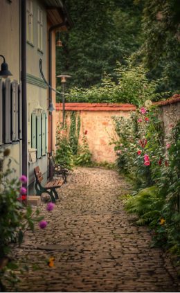 Gần gũi thiên nhiên